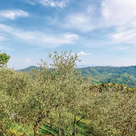 Parsilia Holiday home Santa Maria Albiano